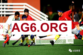 法甲第24轮里尔vs南特全场比赛录像回放2026年3月2日